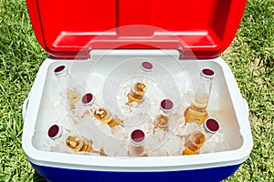 Bottles of beer in cooler box with ice photo