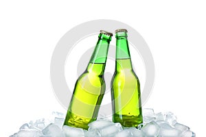 Bottles of beer on ice cubes