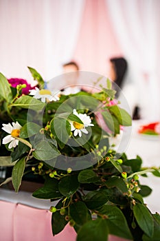 Wedding flowers photo