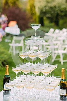 Bottles of champagne and pyramid of wine glasses are on table at wedding banquet in garden