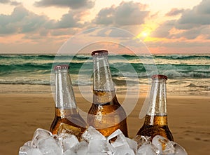 Bottles of cold beer in the ice cubes at the sea shore during sunset