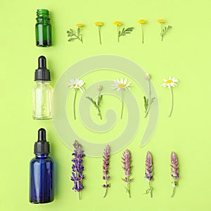 Bottles of different essential oils and wildflowers on color background, flat lay. Space for