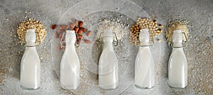 Bottles with different vegan milk and the ingredients like soy, nuts and cereals lying on a rough stone background, panoramic