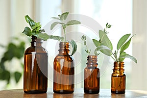 Bottles of essential with and fresh herbs on wooden table indoors