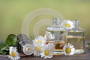 bottles of essential oil and daisies with fresh mint leaf