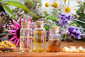Bottles of essential oil with echinacea, chamomile, lavender