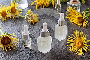 Bottles of essential oil with elecampane plant