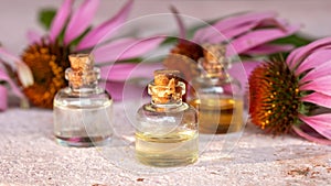 Bottles of essential oil with echinacea flowers in the background