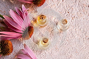 Bottles of essential oil with fresh echinacea flowers on pink background
