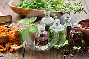 Bottles of essential oil or infusion of herbs and berries - calendula, mint, heather, monarda bergamot, medicinal plants on table.