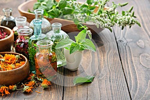 Bottles of essential oil or infusion of herbs  - calendula, thuja, rosemary, mint, sage, heather, healing plants and medicinal