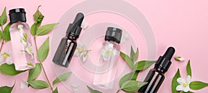 Bottles of essential oil with jasmine flowers photo