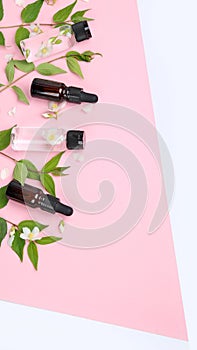 Bottles of essential oil with jasmine flowers photo