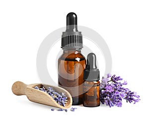 Bottles of essential oil and lavender flowers on white background