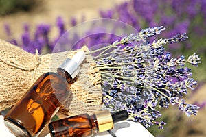 Bottles of essential oil and lavender flowers on white wooden table in field, closeup
