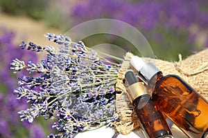 Bottles of essential oil and lavender flowers on white wooden table in field, closeup