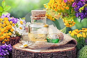 Botellas de básico aceite o poción tratamiento hierbas a flores 