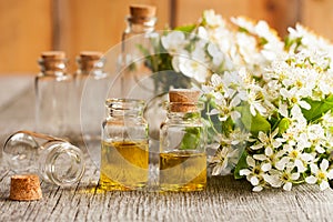 Bottles of essential oil with white blossoms on a wooden table