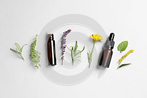 Bottles of essential oils, different herbs and flowers on white background, flat lay