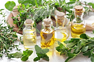 bottles of essential oils with fresh herbs on table