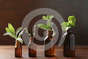 Bottles of essential oils with fresh herbs on wooden table