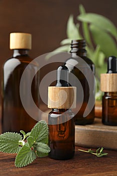 Bottles of essential oils and fresh herbs on wooden table