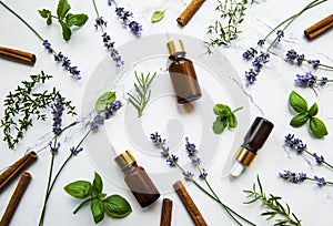 Bottles of essential oils with herbs and flowers