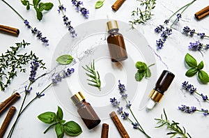 Bottles of essential oils with herbs and flowers