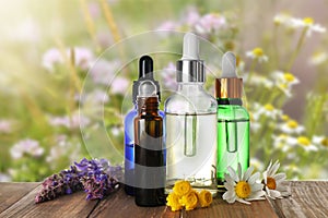 Bottles of essential oils and wildflowers on table against blurred background