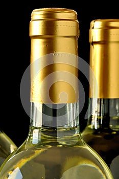Bottles of fine italian white wine
