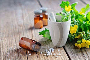 Bottles of homeomathic globules, Chelidonium majus plants and mortar of tetterwort