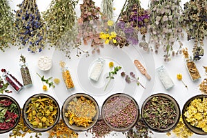 Bottles of homeopathic globules and dry medicinal plants. Bowls of dry medicinal herbs and healing plants bunches on white