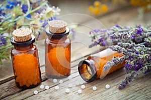Bottles of homeopathic globules and healing herbs