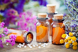 Bottles of homeopathic globules and healing herbs. photo