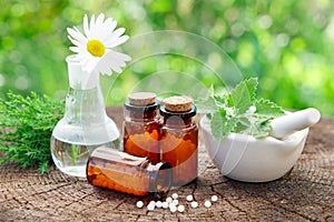 Bottles of homeopathic globules, mortar and daisy flower in flask. photo