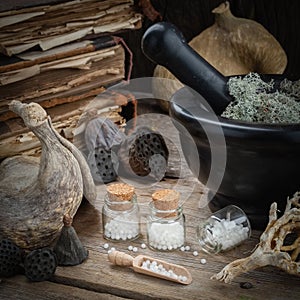 Bottles of homeopathic globules, mortar, dried moss, old books, dry roots, nuts and plants on table.