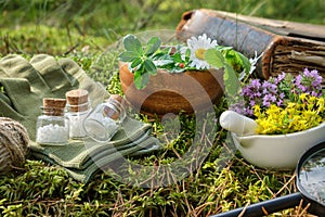 Bottles of homeopathic globules, mortars of medicinal herbs, old book and magnifying glass on a moss in forest. photo