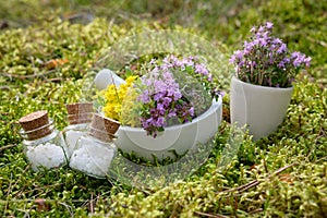 Bottles of homeopathic globules, mortars of thyme and medicinal herbs on a moss in forest