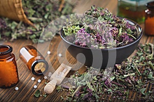 Bottles of homeopathic globules. Origanum vulgare or wild marjoram flowers in bowl. Bottle of essential oil or infusion.