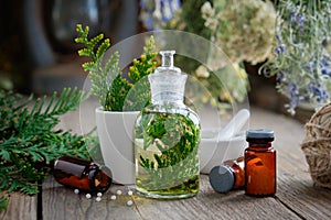 Bottles of homeopathic globules, Thuja infusion, Thuja occidentalis plant and mortar. Homeopathy.