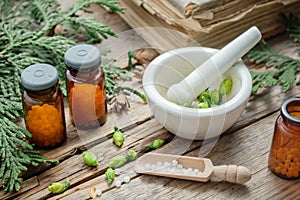 Bottles of homeopathic globules, Thuja occidentalis plant, old books and mortar. Homeopathy.
