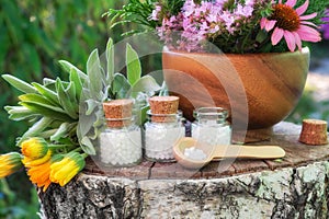 Bottles of homeopathic globules, wooden mortar of medicinal herbs, healing plants on stump outdoors