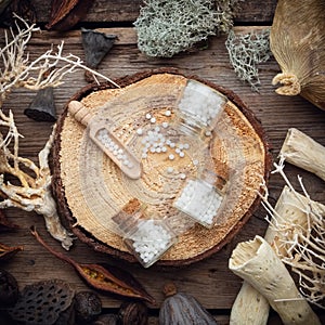 Bottles of homeopathic globules on wooden stump, dried moss, dry roots and plants, eucalyptus and lotus seeds.