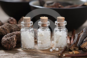 Bottles of homeopathic granules. Persicaria bistorta and Common comfrey or symphytum officinale roots. Homeopathy medicine