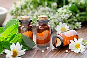 Bottles of homeopathy granules. Homeopathic remedies - Chamomilla, Mentha piperita. Daisies flowers and mint leaves on table.