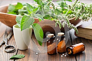 Bottles of homeopathy granules. Homeopathic remedies. Mentha piperita remedy. Mint plants. Homeopathy