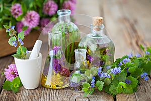 Bottles of infusion of healthy herbs, mortar and healing plants.