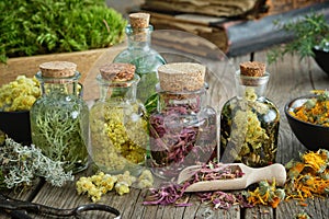 Bottles of infusion of healthy medicinal herbs and healing plants on wooden table. Herbal medicine. Old books and box of healthy