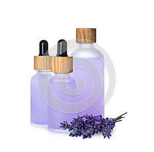 Bottles of lavender essential oil and flowers on white background