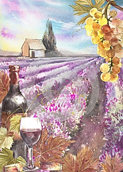 Bottles and leaves of grapes. Background with a lavender field. Watercolor illustration for postcards, scrabbuking. Hand